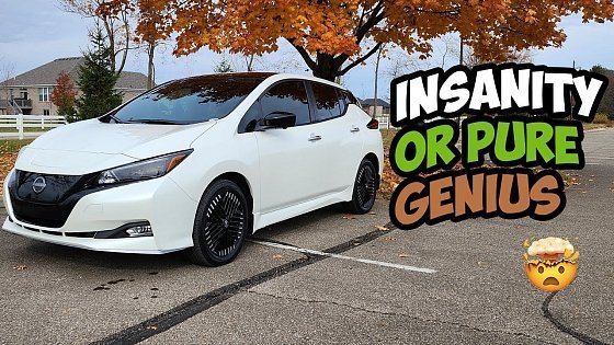 Video: We Bought A Nissan Leaf Instead Of Tesla: What Were We Thinking?