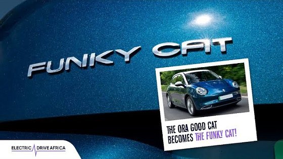 Video: GWM Ora Cat Becomes The Funky Cat!