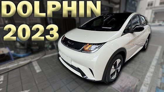 Video: BYD DOLPHIN 2023. ИДЕАЛЬНЫЙ ИДЕАЛ