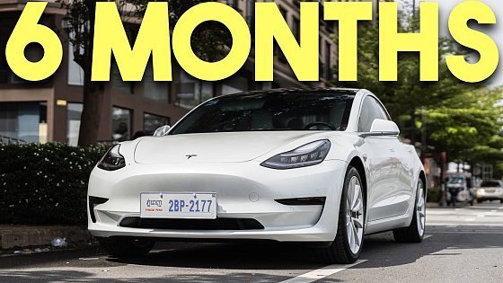 Video: 2023 Tesla Model 3 Six Months Later - Watch Before You Buy!!