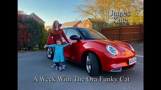 Video: A Week In The Ora Funky Cat